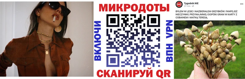 блэк спрут ССЫЛКА  Мелеуз  Галлюциногенные грибы Psilocybe 