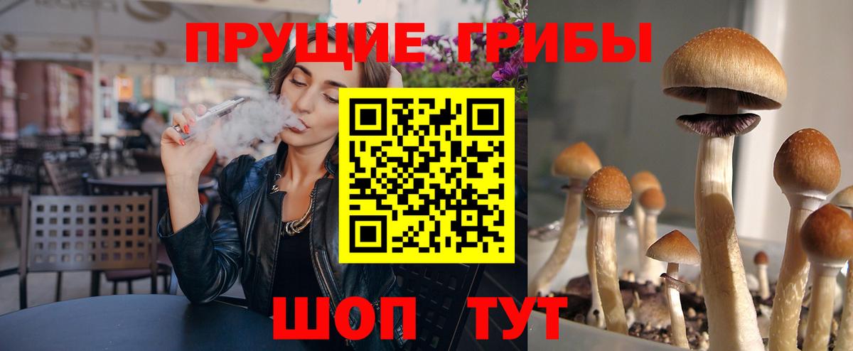 Галлюциногенные грибы Psilocybine cubensis Мелеуз